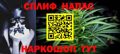 тгк Сланцы