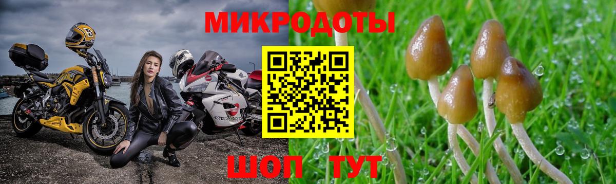 Отрадное  Галлюциногенные грибы Psilocybe  Псилоцибиновые грибы Cubensis  Вход с VPN 